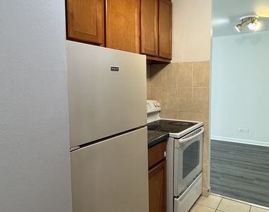 6171 N Sheridan Road - Photo Thumbnail 10