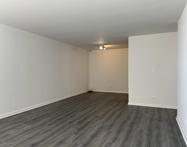 6171 N Sheridan Road - Photo Thumbnail 14