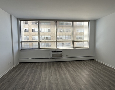 6171 N Sheridan Road - Photo Thumbnail 1