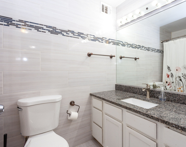 233 E Erie Street - Photo Thumbnail 8