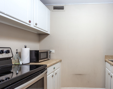 233 E Erie Street - Photo Thumbnail 6