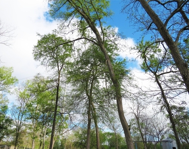 255 Siedel Road - Photo Thumbnail 14