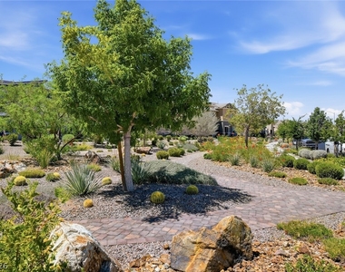 1137 Meadow Sparrow Place - Photo Thumbnail 60