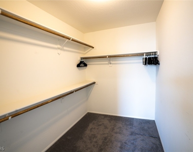 10842 Mattoon Bay Court - Photo Thumbnail 8