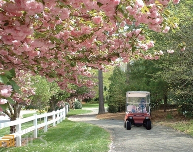 13 Northlake Drive - Photo Thumbnail 41