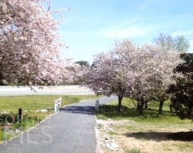 13 Northlake Drive - Photo Thumbnail 46