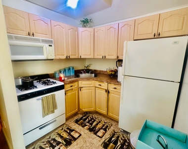 1033 East 58th Street - Photo Thumbnail 2