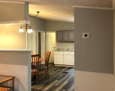 1114 Spring Flower Drive - Photo Thumbnail 5