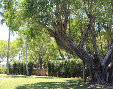 225 Gulfstream Boulevard - Photo Thumbnail 19