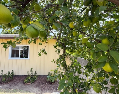 416 Drake Road - Photo Thumbnail 28