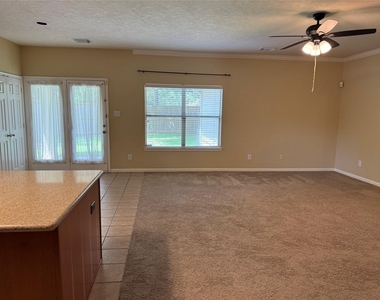 21307 Springbrook Hollow Court - Photo Thumbnail 9