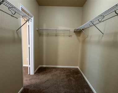 21307 Springbrook Hollow Court - Photo Thumbnail 23