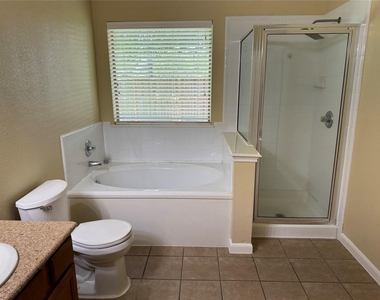 21307 Springbrook Hollow Court - Photo Thumbnail 15