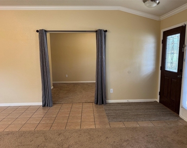 21307 Springbrook Hollow Court - Photo Thumbnail 3
