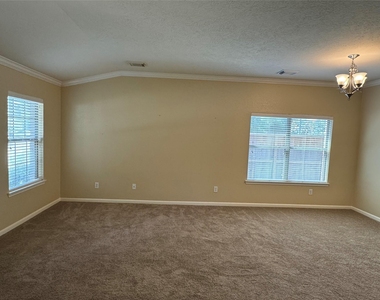 21307 Springbrook Hollow Court - Photo Thumbnail 6