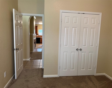 21307 Springbrook Hollow Court - Photo Thumbnail 20