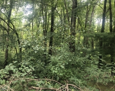 511 Chatfield Dr - Photo Thumbnail 20
