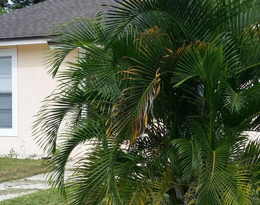 460 Fleming Avenue - Photo Thumbnail 12