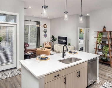 1015 N Alexander Street - Photo Thumbnail 22