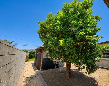 7330 Satsuma Avenue - Photo Thumbnail 32