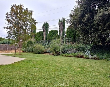 2834 Adelita - Photo Thumbnail 8