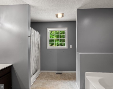 344 White Mule Lane - Photo Thumbnail 13