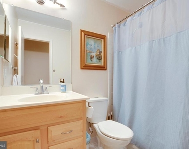 10535 Brevity Drive - Photo Thumbnail 13