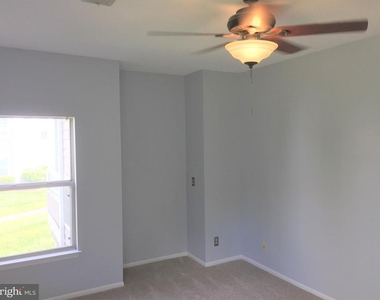 14322 Climbing Rose - Photo Thumbnail 11