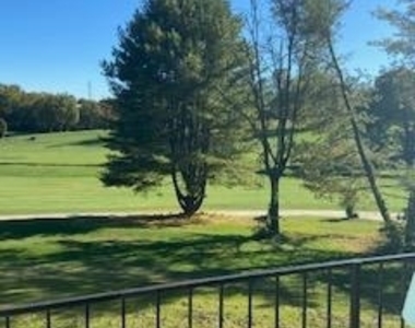1823 N Shore Court - Photo Thumbnail 61