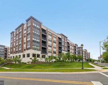 3503 Bellflower Lane - Photo Thumbnail 5