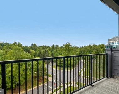3503 Bellflower Lane - Photo Thumbnail 45