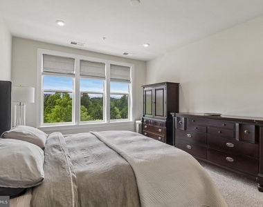 3503 Bellflower Lane - Photo Thumbnail 40