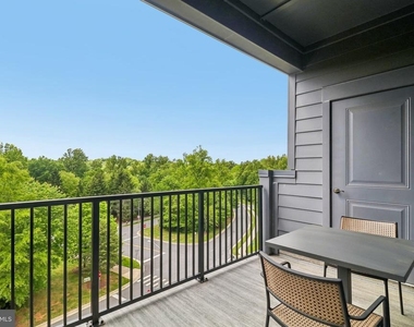 3503 Bellflower Lane - Photo Thumbnail 46