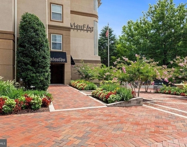 11800 Old Georgetown - Photo Thumbnail 1
