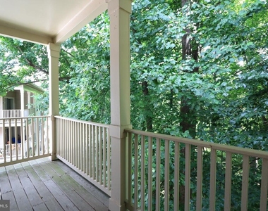 15305 Diamond Cove Terrace - Photo Thumbnail 4