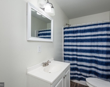 219 Willis Street - Photo Thumbnail 19