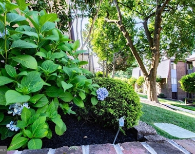 1 Stonehenge Circle - Photo Thumbnail 49