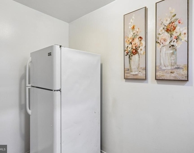 147 Denison Street - Photo Thumbnail 9