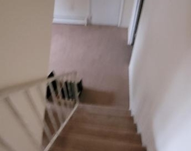 409 N Lynn Drive - Photo Thumbnail 28