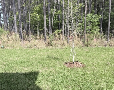 146 Hubbard Bend - Photo Thumbnail 19