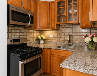 5135 S Kenwood Avenue - Photo Thumbnail 6
