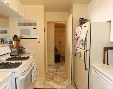 3950 N Lake Shore Drive - Photo Thumbnail 4