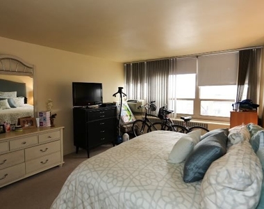 3950 N Lake Shore Drive - Photo Thumbnail 12