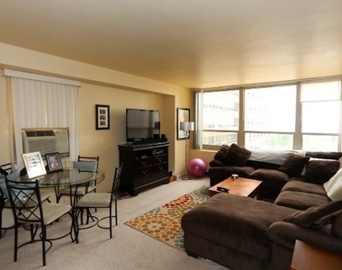 3950 N Lake Shore Drive - Photo Thumbnail 5