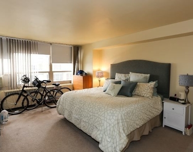 3950 N Lake Shore Drive - Photo Thumbnail 11