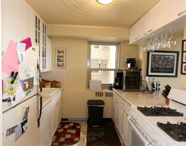 3950 N Lake Shore Drive - Photo Thumbnail 1