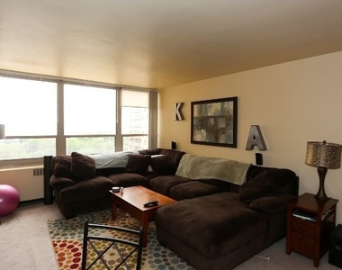 3950 N Lake Shore Drive - Photo Thumbnail 7