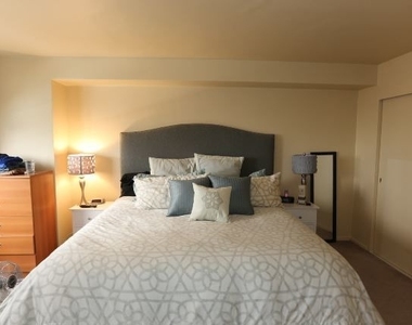 3950 N Lake Shore Drive - Photo Thumbnail 13
