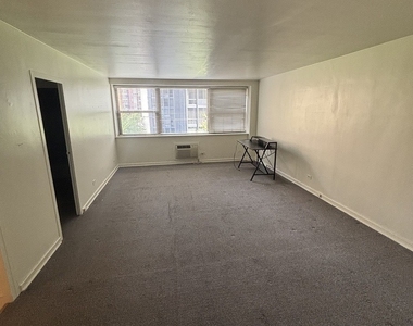 253 E Delaware Place - Photo Thumbnail 3