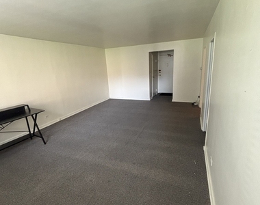 253 E Delaware Place - Photo Thumbnail 2